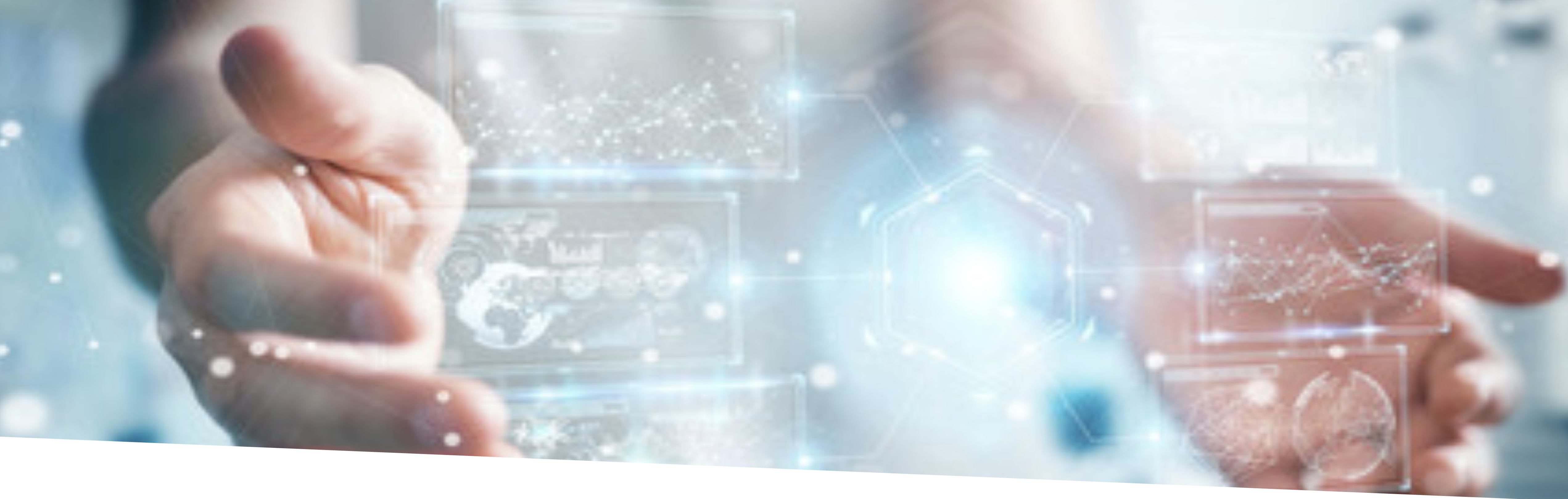 Holon Solutions